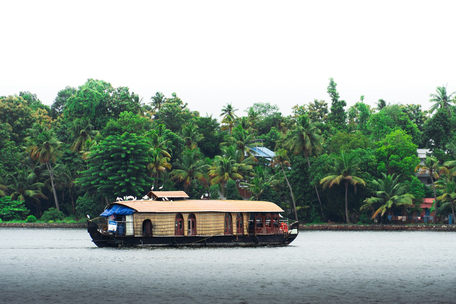 Traditional houseboat on Kerala's backwaters
